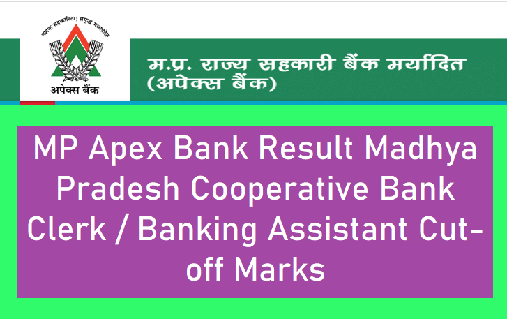 MP Apex Bank Result